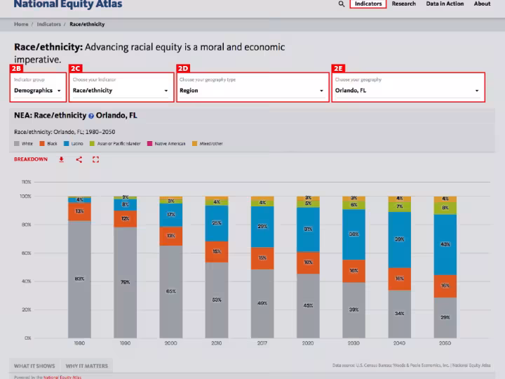 Infographic on race/ethnicity: advancing racial equity