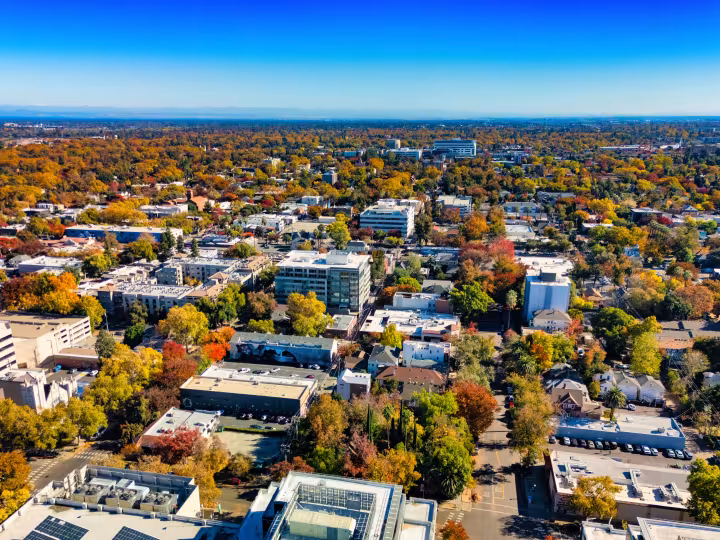 An aerial view shows a city neighborhood with dense tree cover interspersed among homes and low-rise buildings under a clear blue sky.
