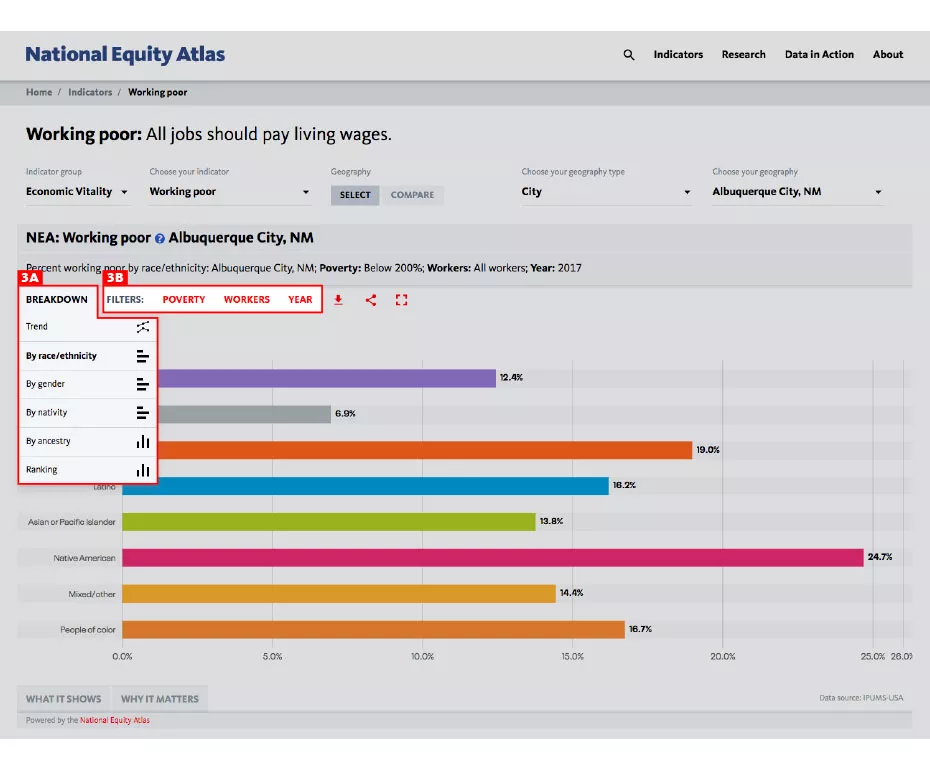 The Chart Breakdowns and Filters feature in NEA Equity Atlas